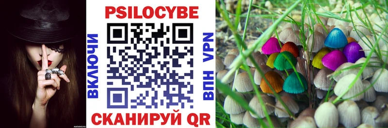 Псилоцибиновые грибы ЛСД Сортавала